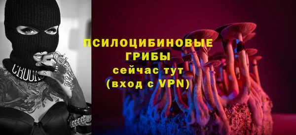 ПСИЛОЦИБИНОВЫЕ ГРИБЫ Покровск