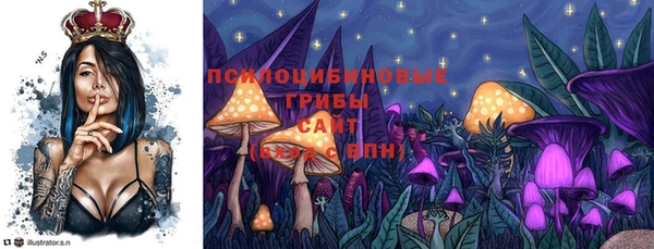 стафф Аркадак