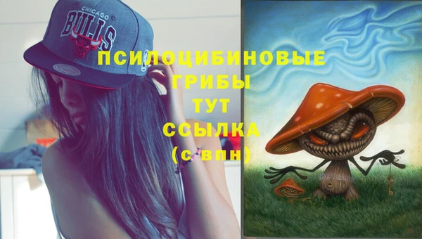 первитин Покачи