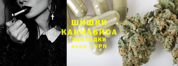 стафф Аркадак
